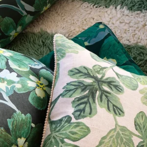 Bonnie & Neil Cosmos Green Cushion New