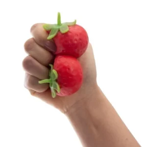 Discovery Zone Squishy Strawberry Hot