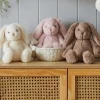 Jiggle & Giggle Bunny Medium Sale