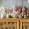 Jiggle & Giggle Bunny Small Sale