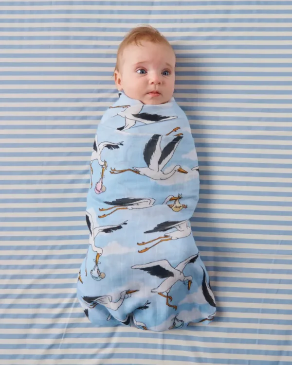 Kip & Co Special Delivery Bamboo Swaddle Fashion