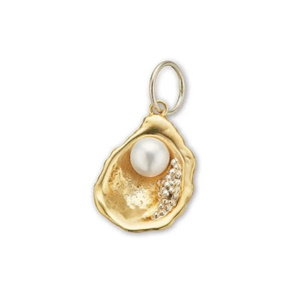 palas_the_world_is_your_o_0.webp Palas The World is your oyster Charm Best