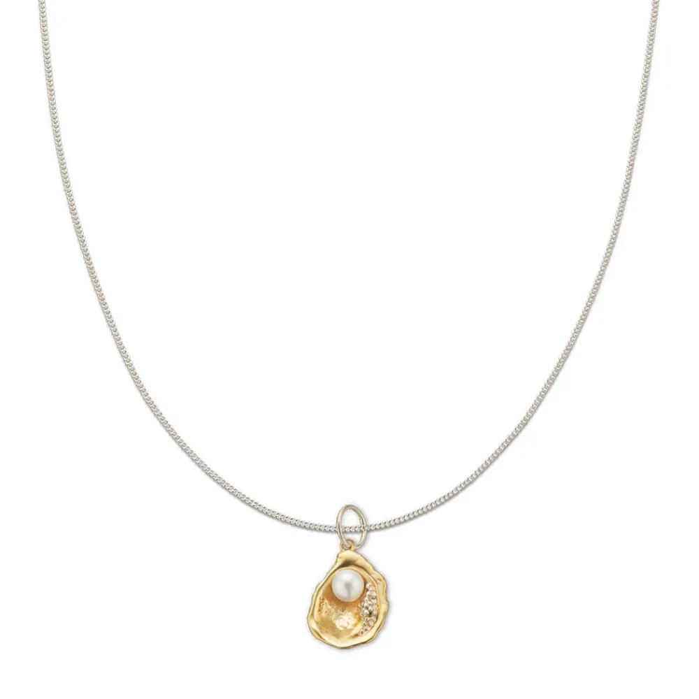 palas_the_world_is_your_o_1.webp Palas The World is your oyster Charm Best